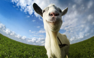 Goat Simulator: Kreativa projektet som blev miljonsuccé